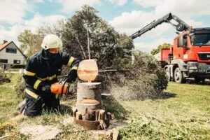 abbattimento alberi con sega