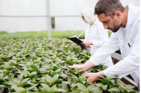 agronomico significato