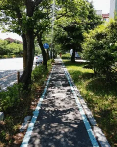 ciclabile con verde