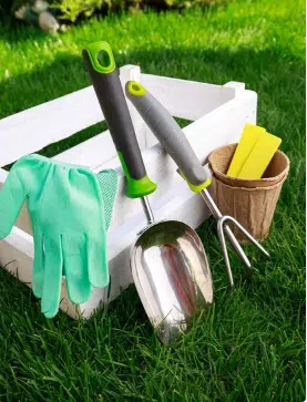 progettazione verde per giardino curato 
