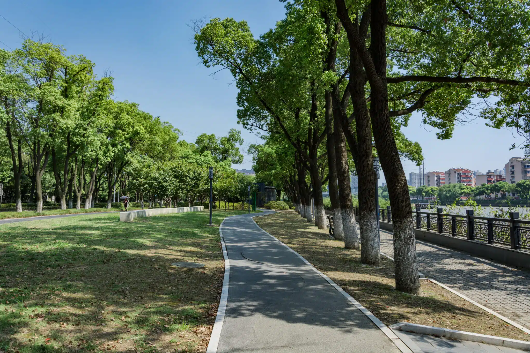 parco pubblico progettato da giardinieri esperti