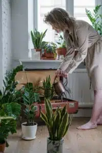 cosa e un orto urbano