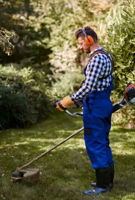 giardiniere professionista