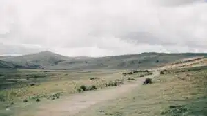 errori arieggiatura prato