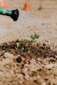 fertilizzanti piantumazione piante milano