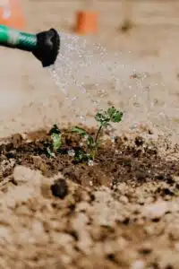 fertilizzanti piantumazione piante milano