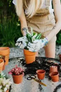 fertilizzare orto urbano milano