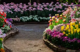fiori giardino primavera