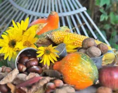 giardinaggio ottobre