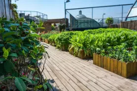 idee terrazzo verde