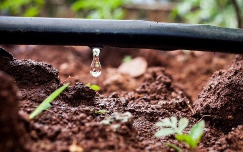 Un impianto di irrigazione a goccia è un sistema di irrigazione che fornisce acqua direttamente al terreno in modo efficiente, riducendo al minimo le perdite di acqua e l'erosione del suolo.