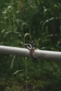 irrigazione automatica goccia