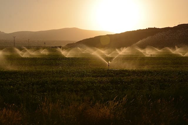 irrigazione campo