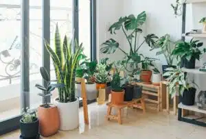 manutenzione orto urbano