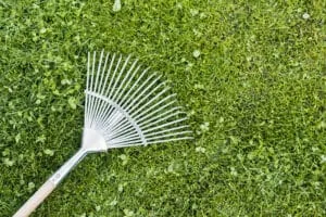 manutenzione verde pubblico e privato