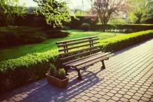 siepi di un giardino ben curate