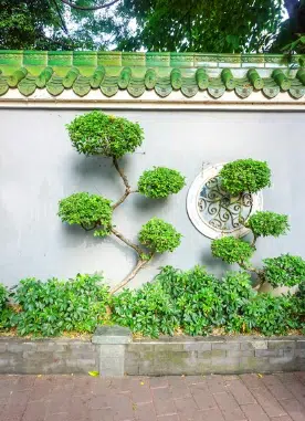 potature alberi ornamentali