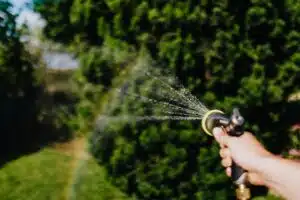 prevenzione parassiti giardino