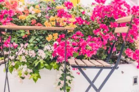 progettazione giardini terrazzi