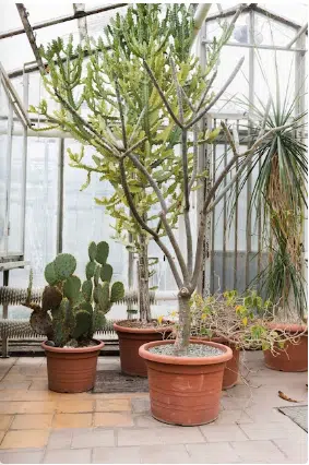 progetto terrazzo verde