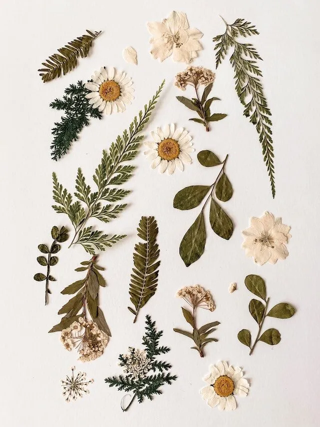 quadri con fiori