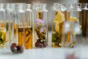 quadri vegetali ecosostenibili