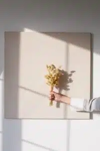 quadri vegetali prezzo