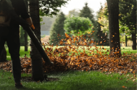 smaltimento foglie secche milano