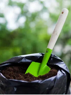 smaltimento potatura piante