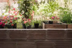 tappeto verde per terrazzo