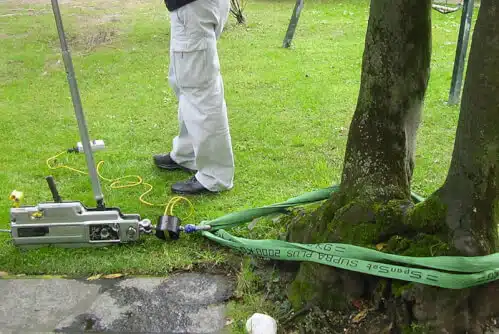 Grafico che mostra la valutazione della stabilità degli alberi, con una VTA (Valutazione Tecnica degli Alberi) come metodo di valutazione